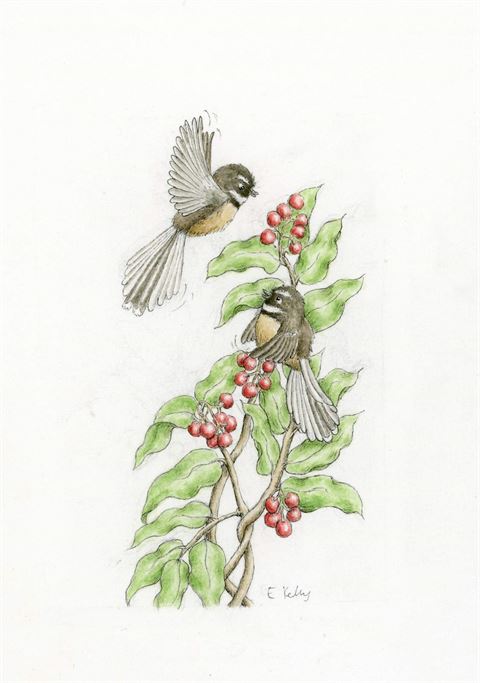 Two Fantails