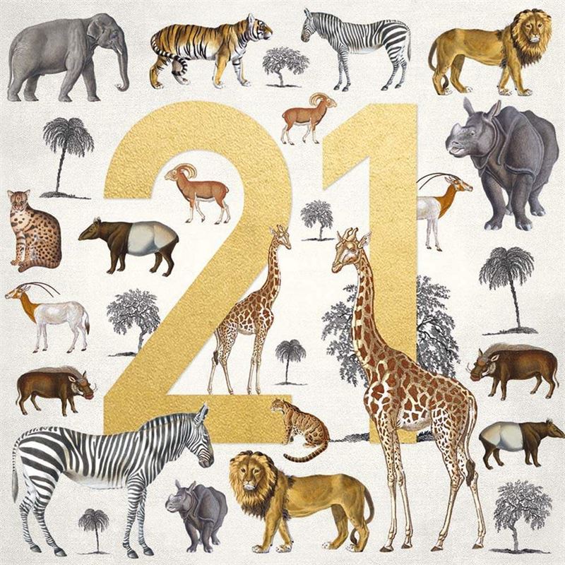 Museums & Galleries - Safari - 21st Birthday Card