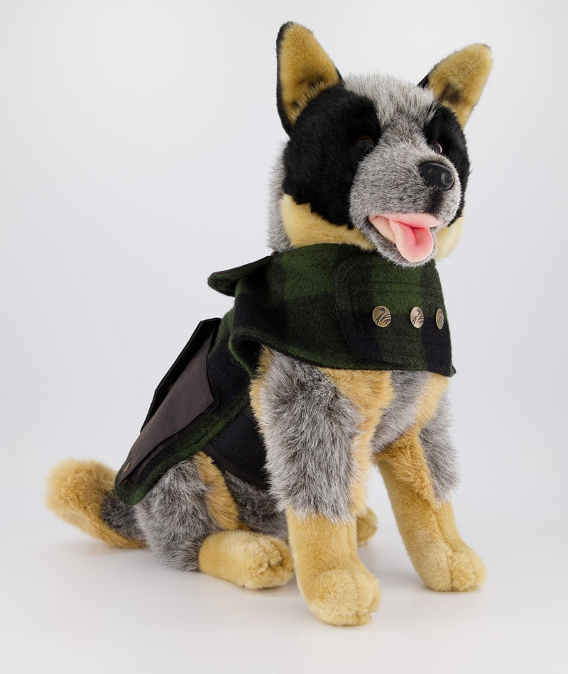 Swanndri Classic Wool Dog Coat