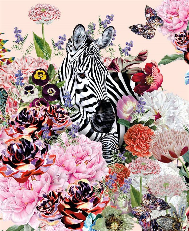 Museums & Galleries - Zebra - Card