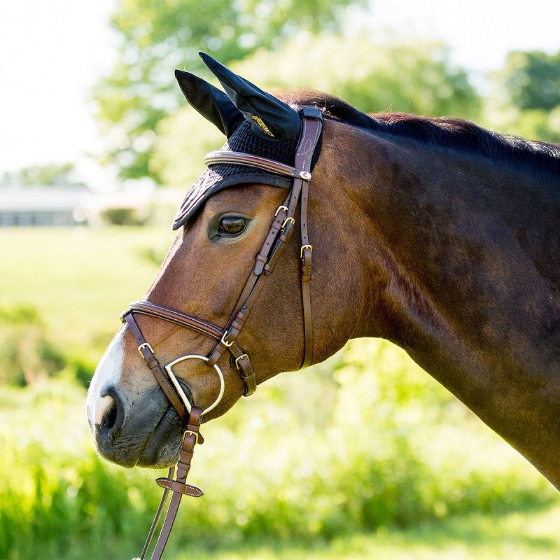 Horze Constance Padded Flash Bridle