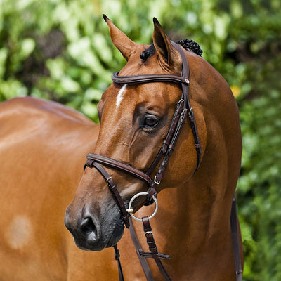 Horze Constance Padded Flash Bridle