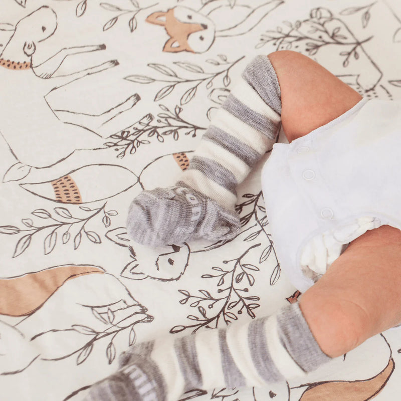 Lamington Merino Knee High Socks - Baby