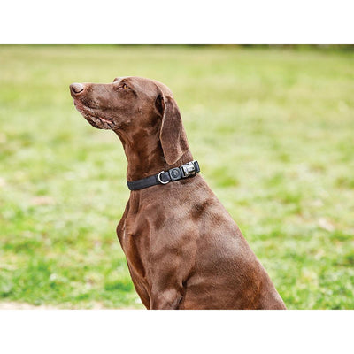 Weatherbeeta Elegance Dog Collar