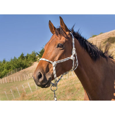 Heavy Duty Rope Halter Full