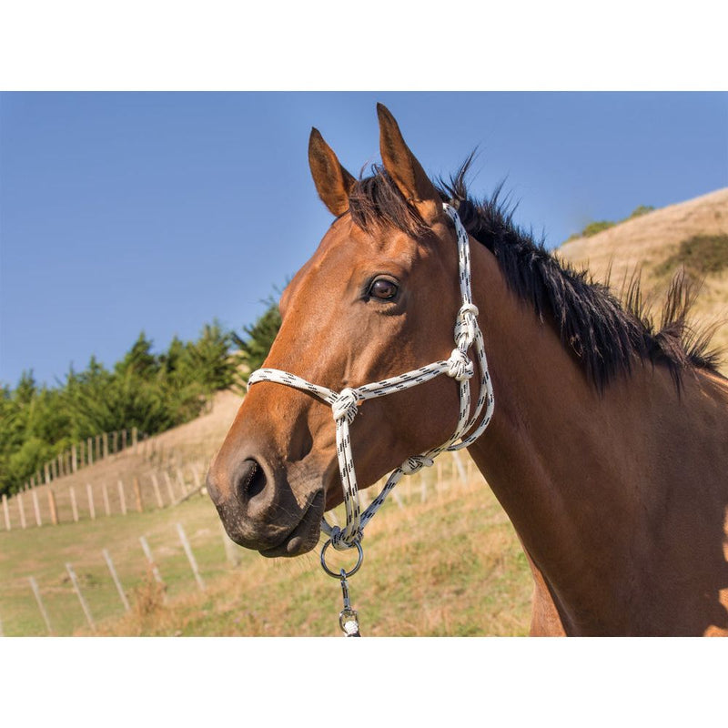 Heavy Duty Rope Halter Full