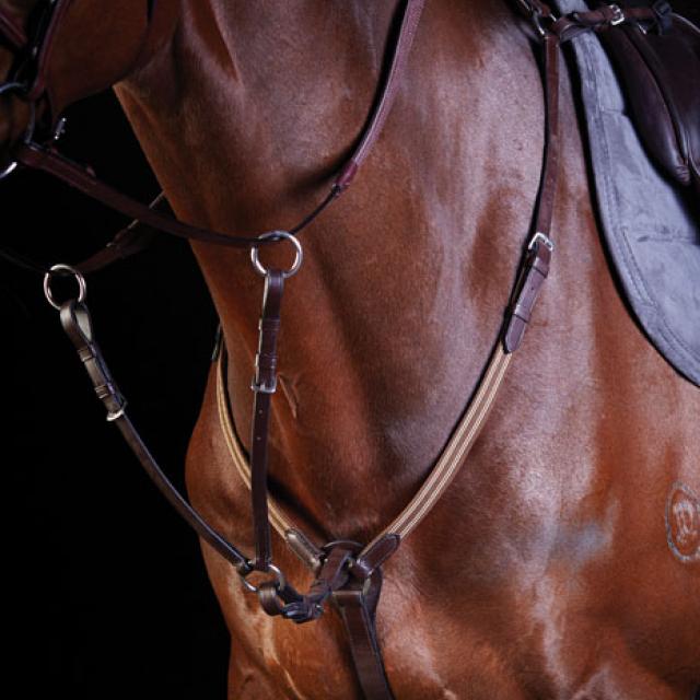 Collegiate Elastic Event Breastplate