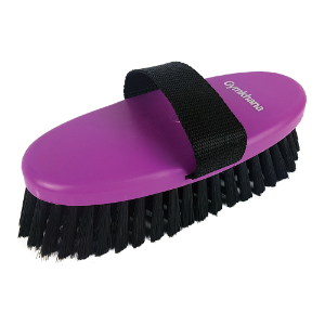 Zilco Gymkhana Body Brush