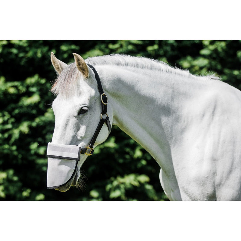 Flair Sola Shade Nose Guard