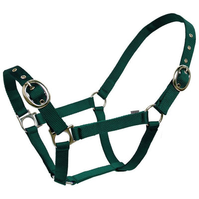 Blue Tag Webbing Halter 19mm