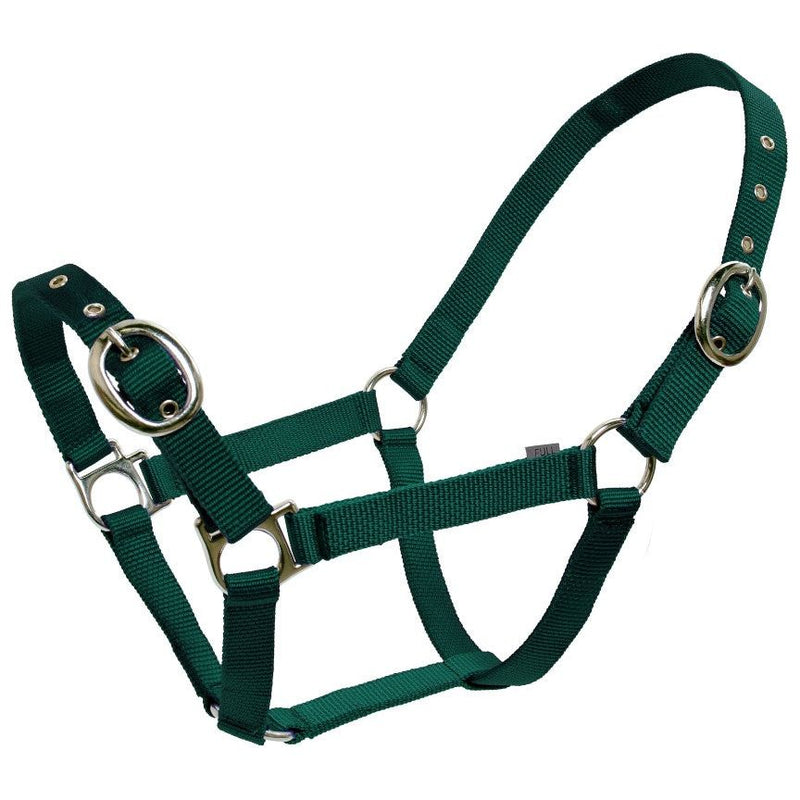 Blue Tag Webbing Halter 19mm