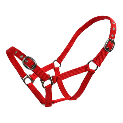 Blue Tag Webbing Halter 19mm