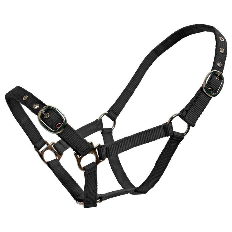 Blue Tag Webbing Halter 19mm