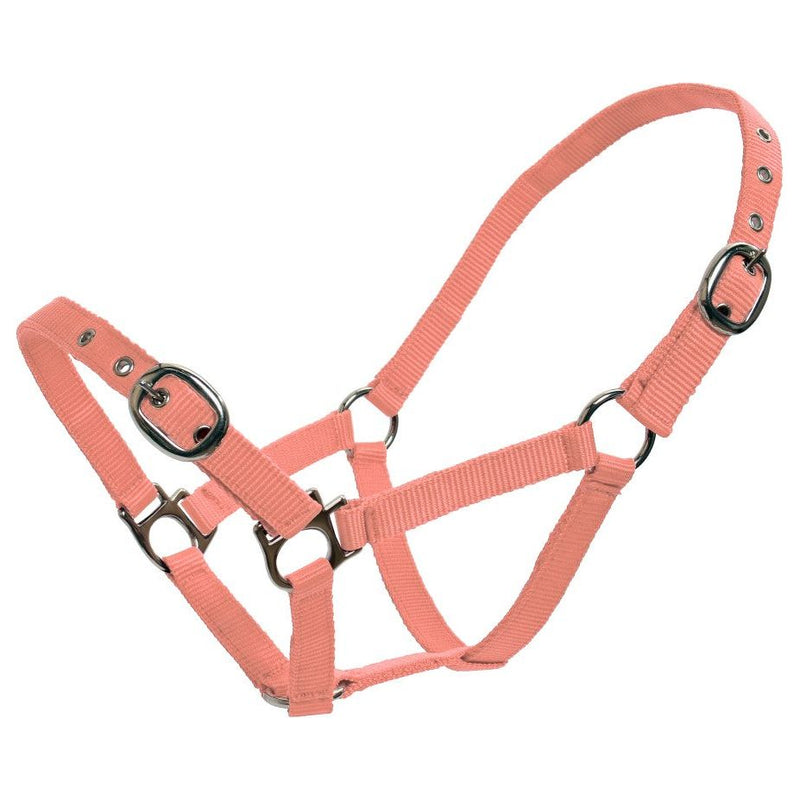Blue Tag Webbing Halter 19mm