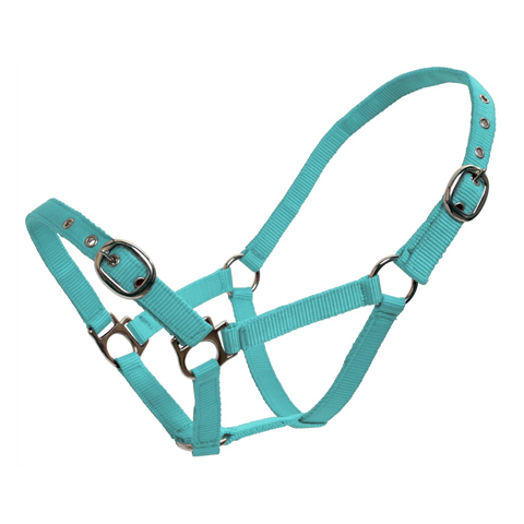 Blue Tag Webbing Halter 19mm
