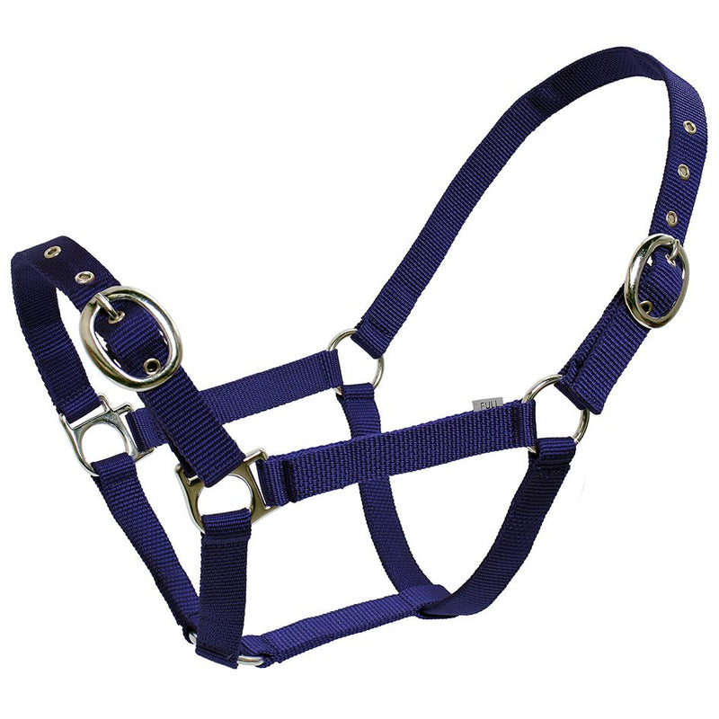 Blue Tag Webbing Halter 19mm