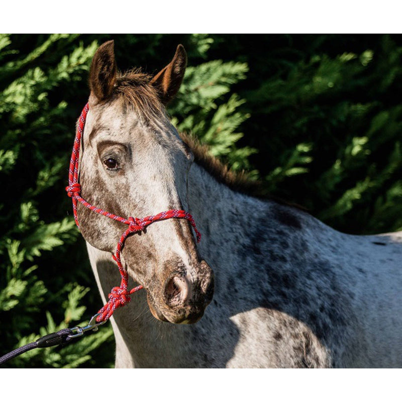 Flair Multi Fleck Rope Halter
