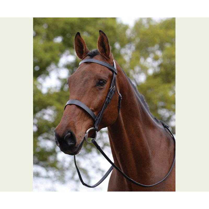 Kincade Flat Cavesson Ii Bridle - Black
