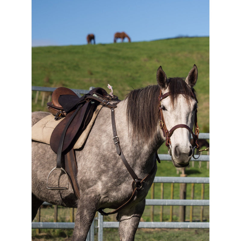 Easts Leather Breastplate Martingale 32mm