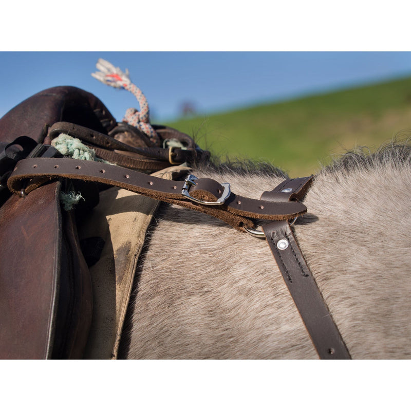 Easts Leather Breastplate Martingale 32mm