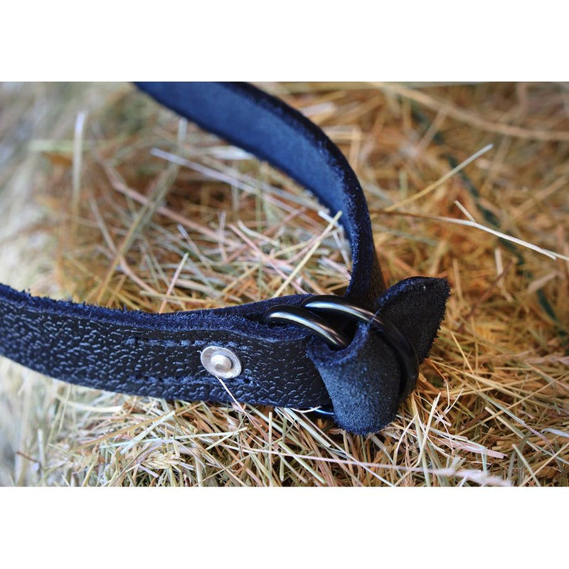 Easts Leather Reins