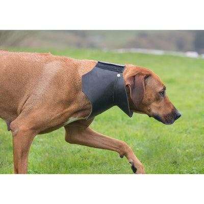 Large Shaped Rip Collar - Velcro Closure