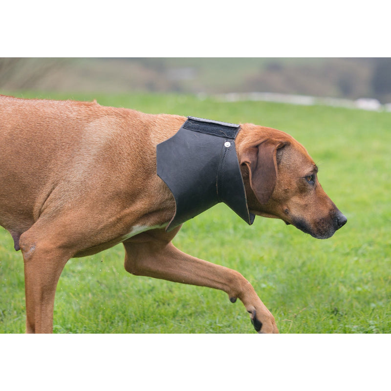 Large Shaped Rip Collar - Velcro Closure