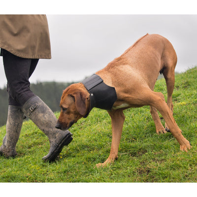 Large Shaped Rip Collar - Velcro Closure