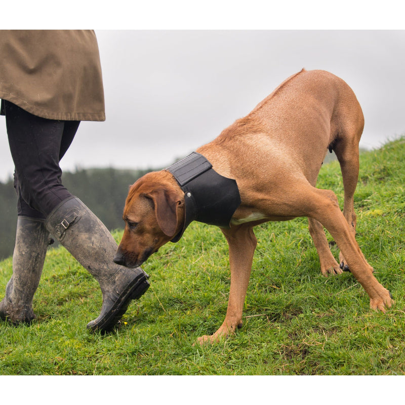 Large Shaped Rip Collar - Velcro Closure
