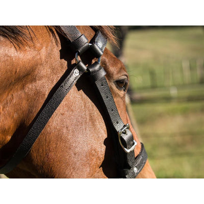 Easts Leather Standard Station Bridle with Noseband