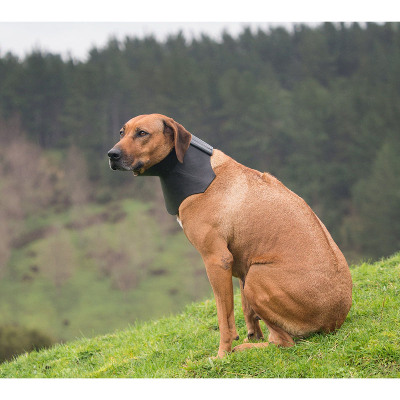 Large Shaped Rip Collar - Velcro Closure
