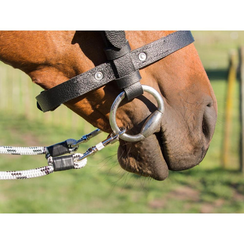 Easts Leather Standard Station Bridle with Noseband
