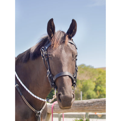 Easts Leather Standard Station Bridle XFull