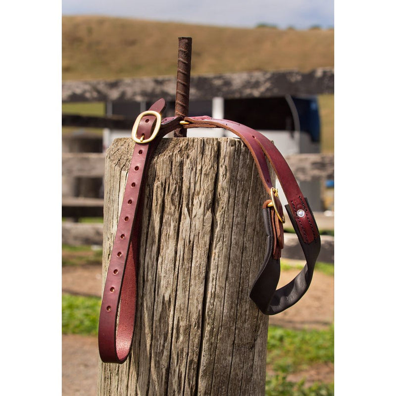 Easts Latigo Leather Crupper with Brass Buckles