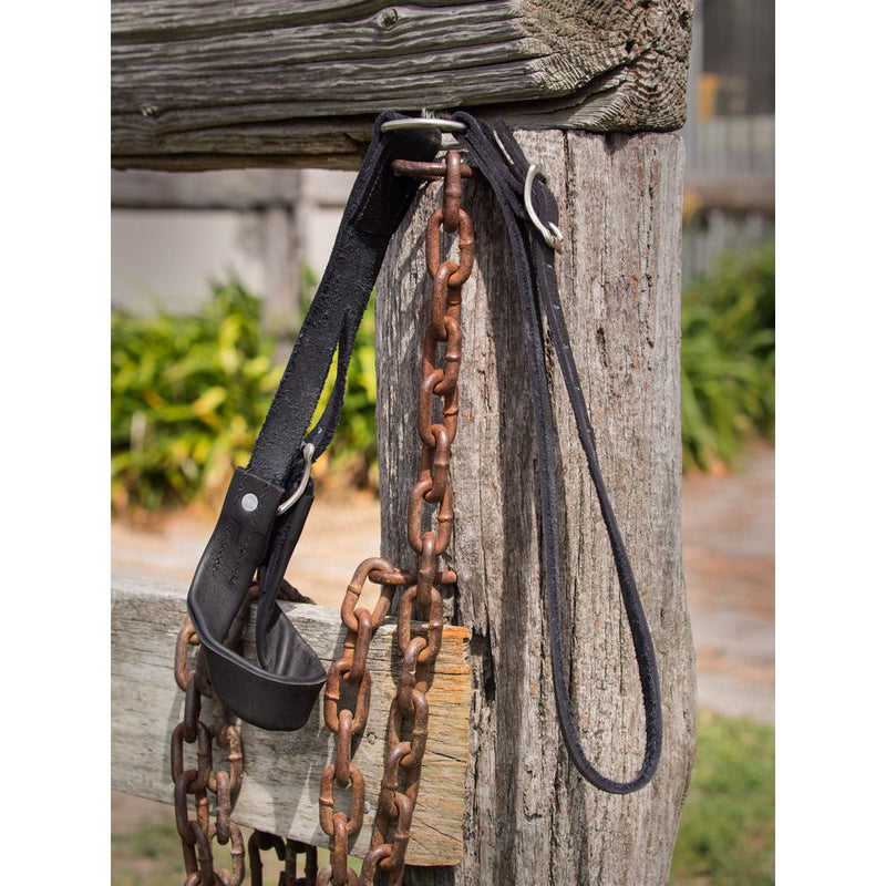 Easts Leather Crupper