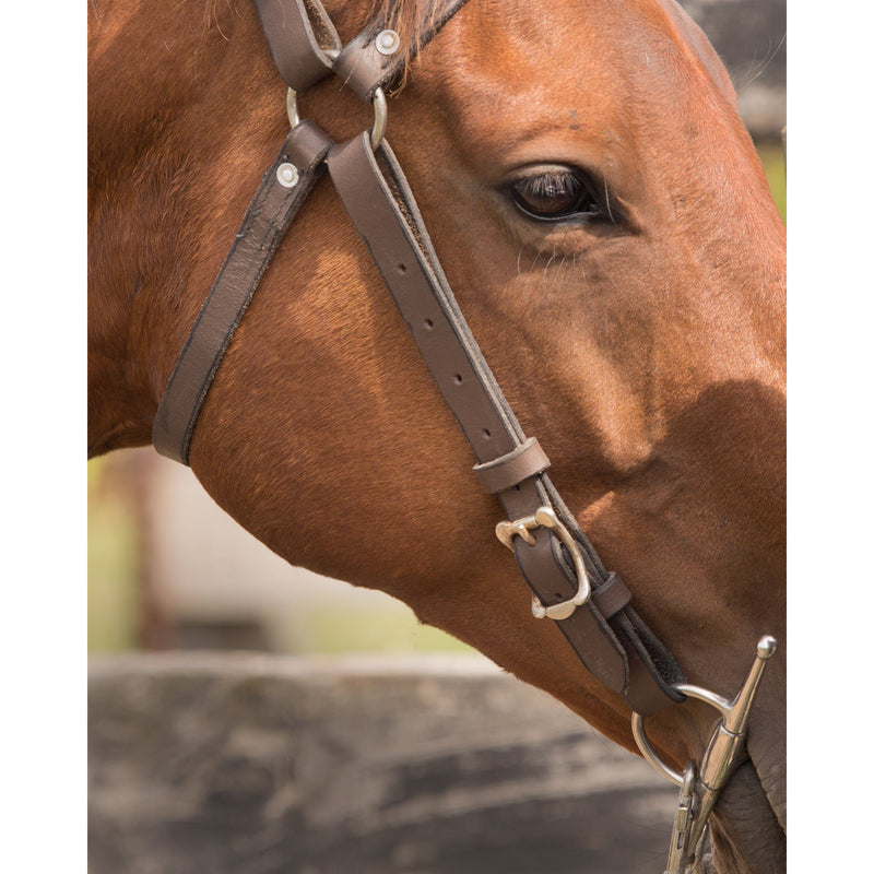 Easts Leather Standard Station Bridle