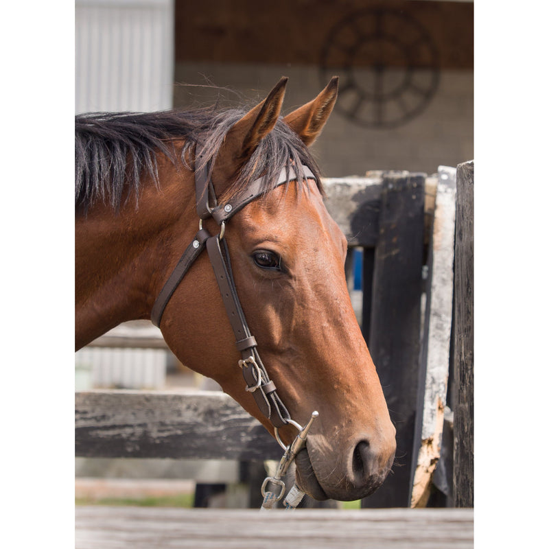 Easts Leather Double Stitched Leather Station Bridle