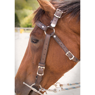 Easts Leather Double Stitched Leather Station Bridle
