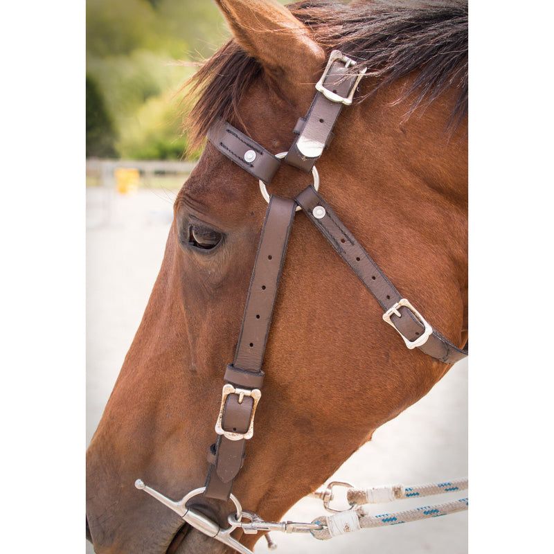 Easts Leather Double Stitched Leather Station Bridle
