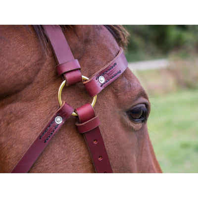 Easts Latigo Leather Station Bridle Brass Fittings XL