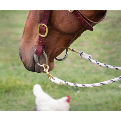 Easts Latigo Leather Standard Station Bridle with Brass Fittings