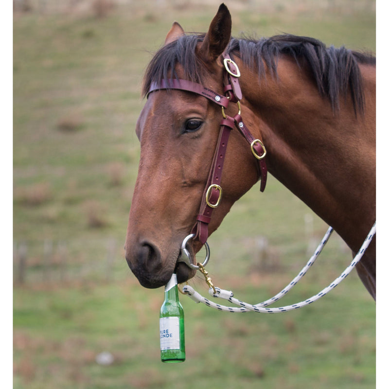 Easts Latigo Leather Double Stitched Station Bridle with Brass Fittings