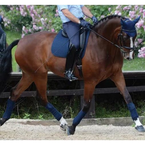 WeatherBeeta Prime Dressage Saddle Pad