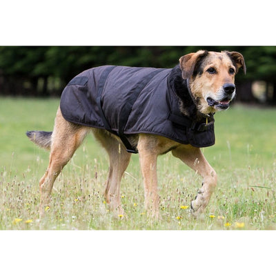 Outback Clancy Oilskin Dog Coat