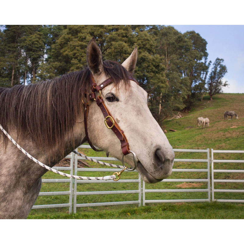 Easts Latigo Leather Double Head Bridle with Brass Fittings