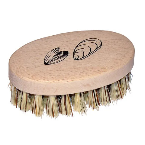 Florence Mussel Brush Beechwood