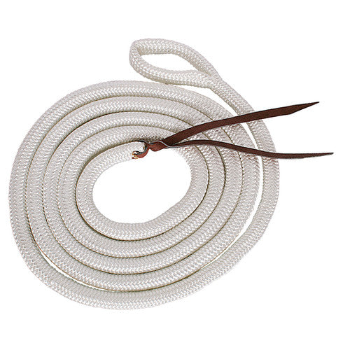 Blue tag Horsemanship Lead