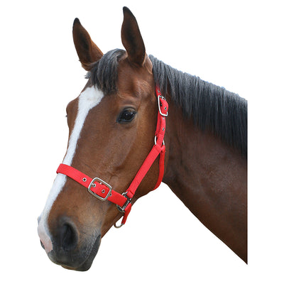 Flair Halter - Nylon