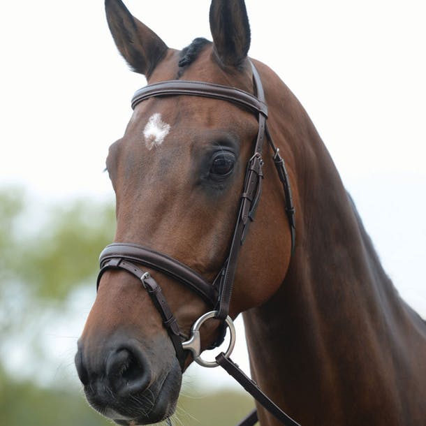 Kincade Flash Bridle III - Brown
