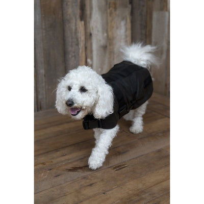 Outback Clancy Oilskin Dog Coat